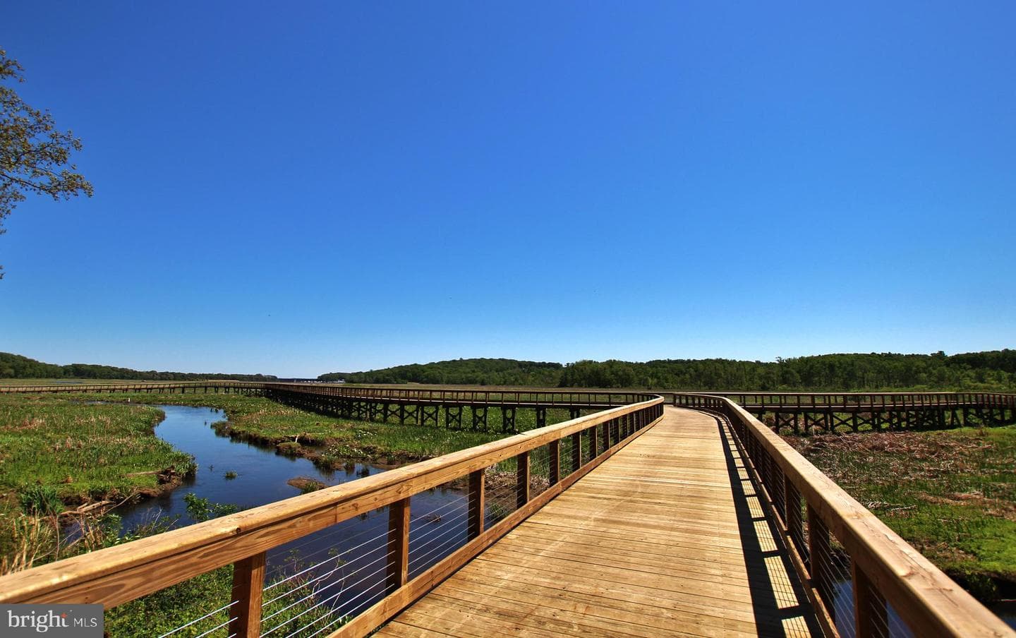 15419 Duckling Place photo 45
