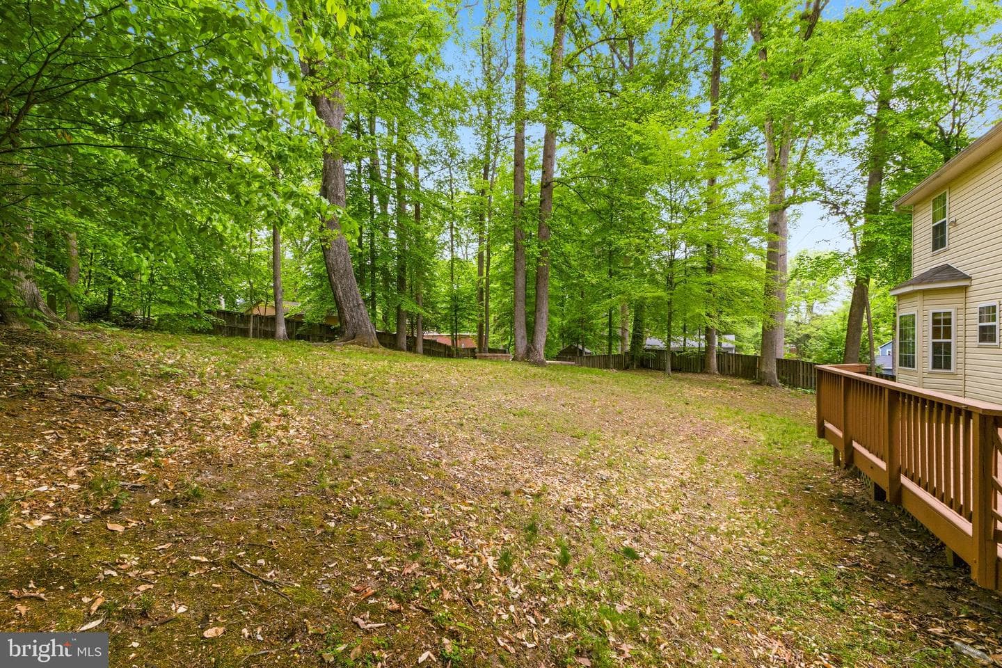 3404 Holly Circle photo 55