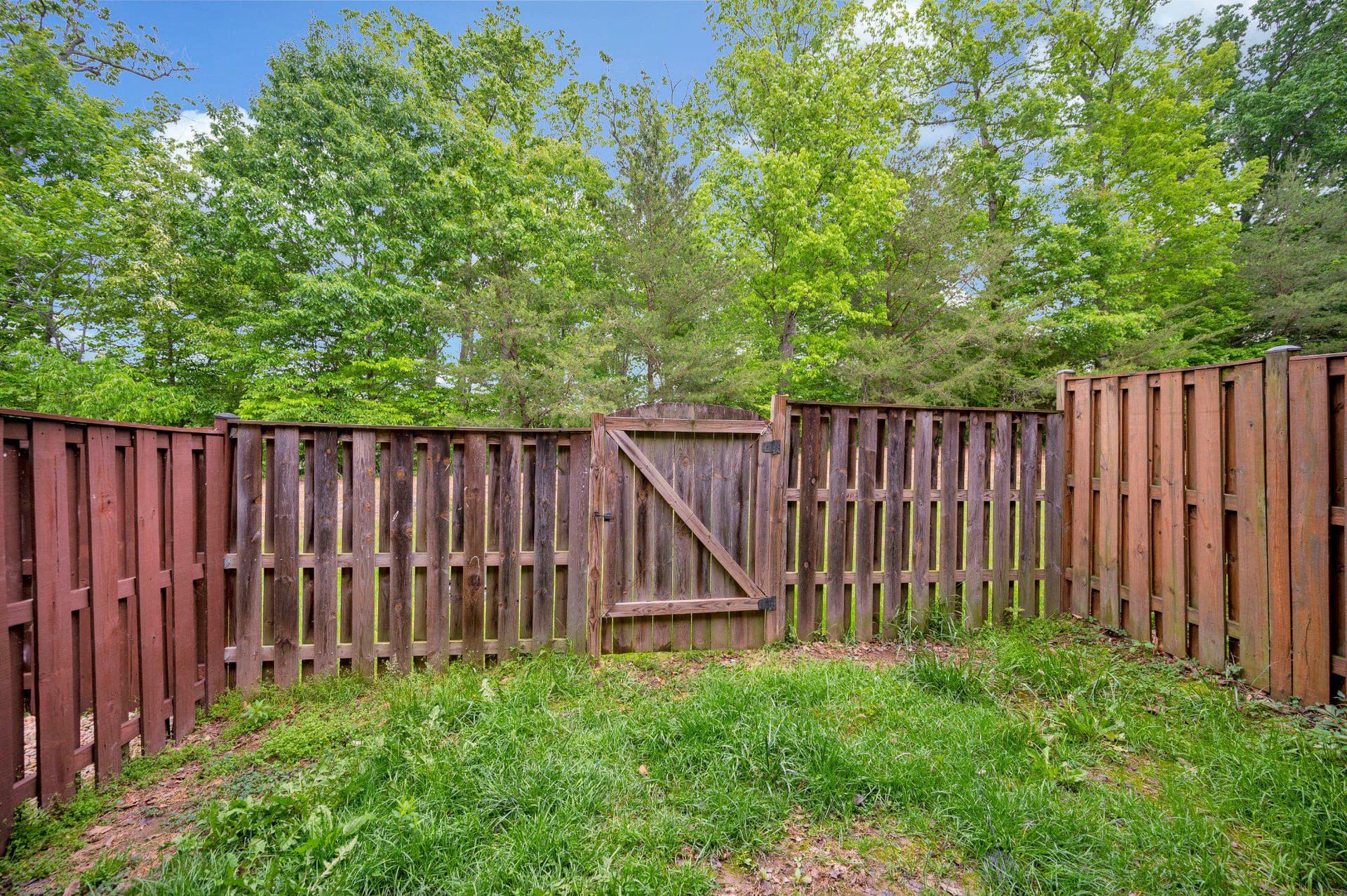 11539 Bertram Street photo 52