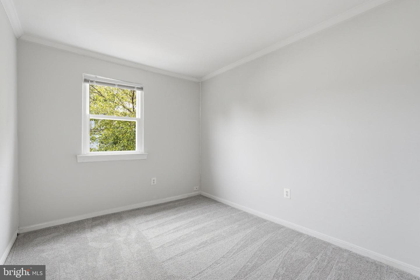7938 Sharpsburg Court photo 14