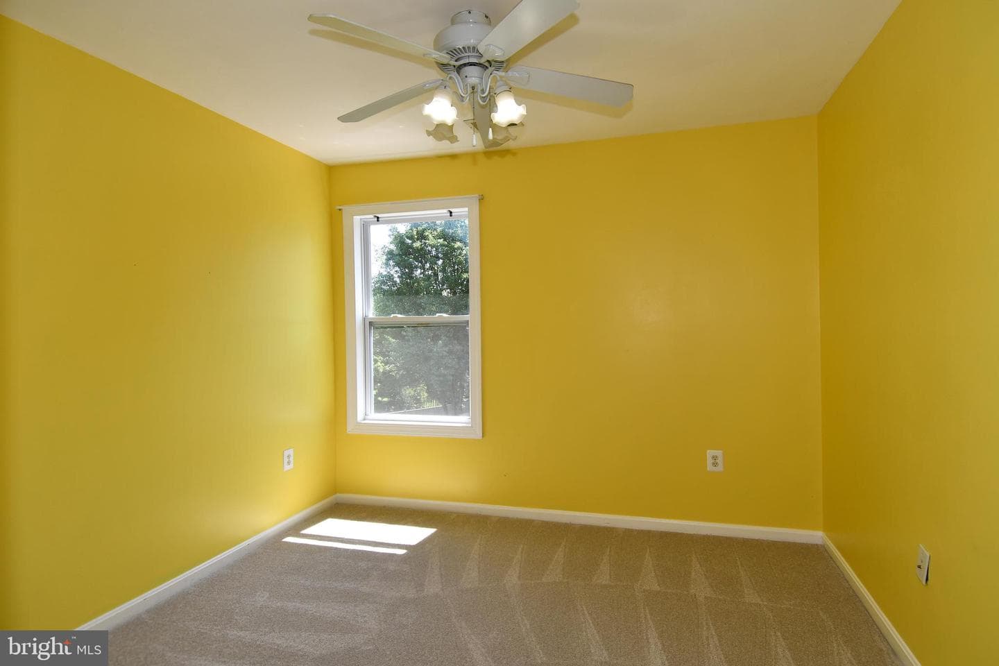 5959 Reaves Lane photo 35