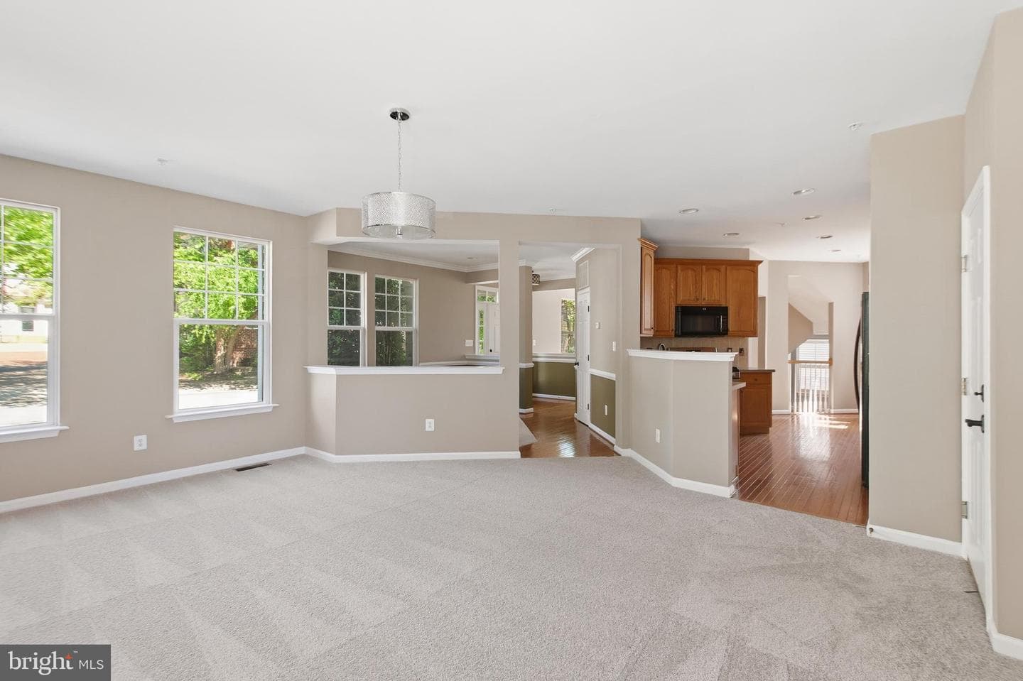 10017 Pentland Hills Way photo 8