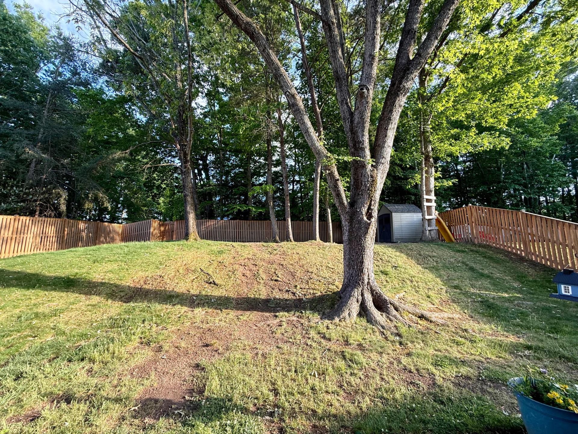 6111 Plainville Lane photo 20