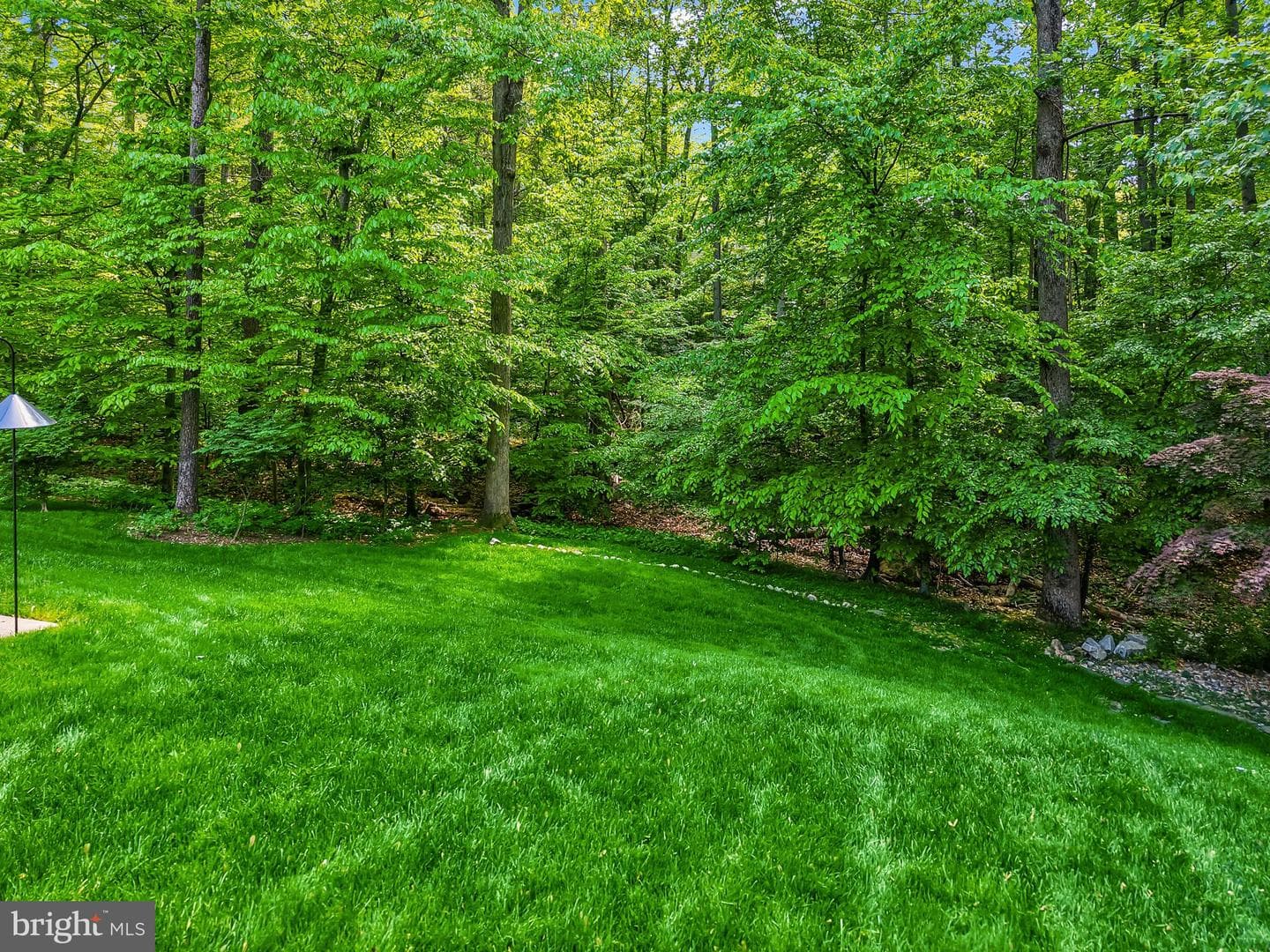 11613 Brookway Court photo 4