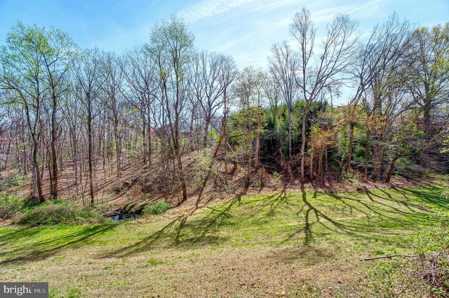 12488 Skipper Circle photo 34