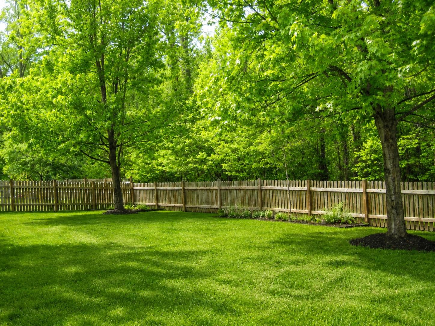14036 Albert Way photo 29