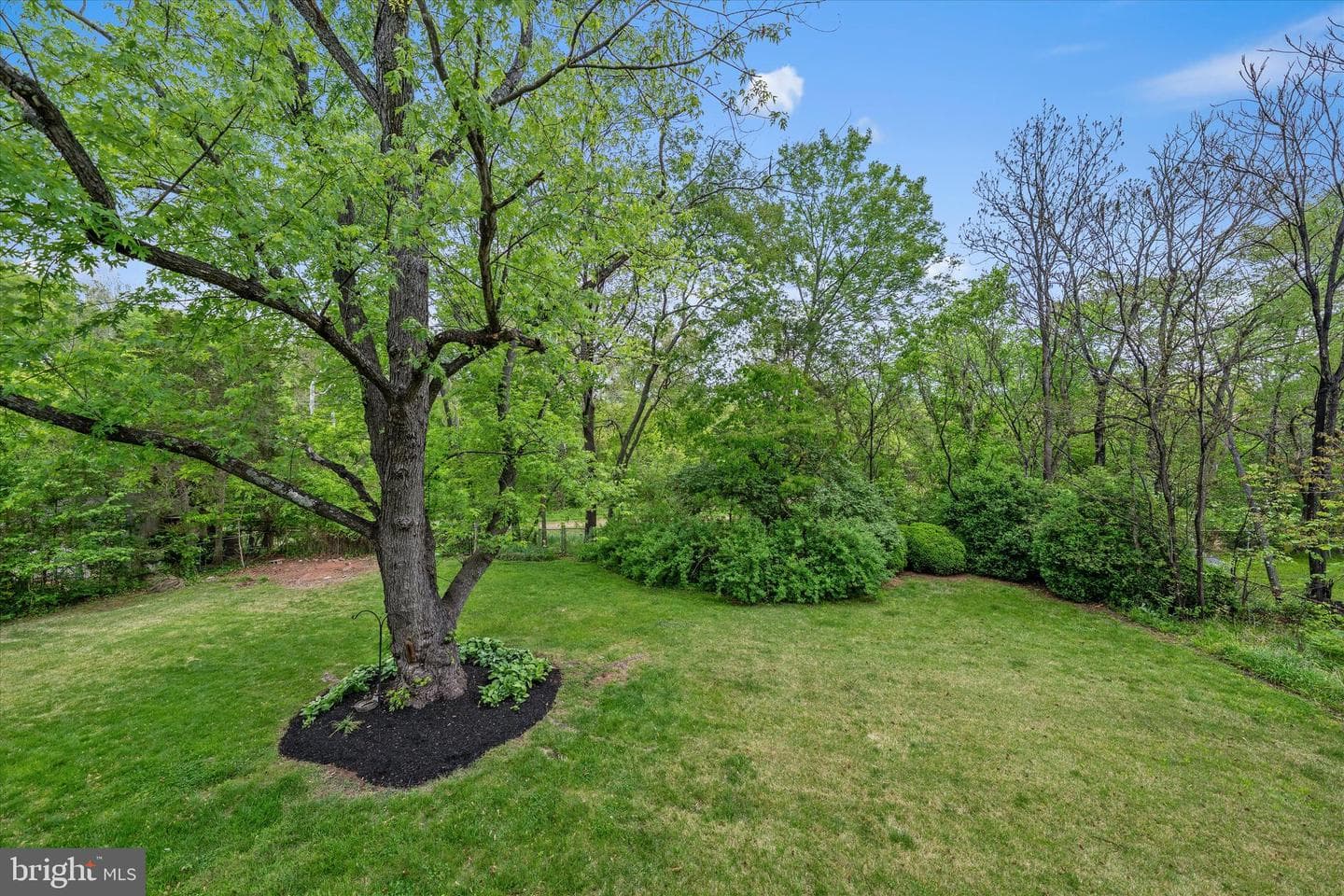 9602 Dublin Drive photo 40