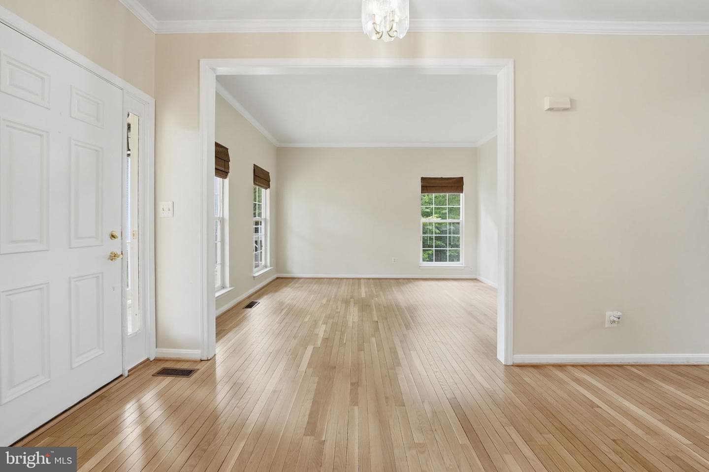 10376 Plum Tree Court photo 8