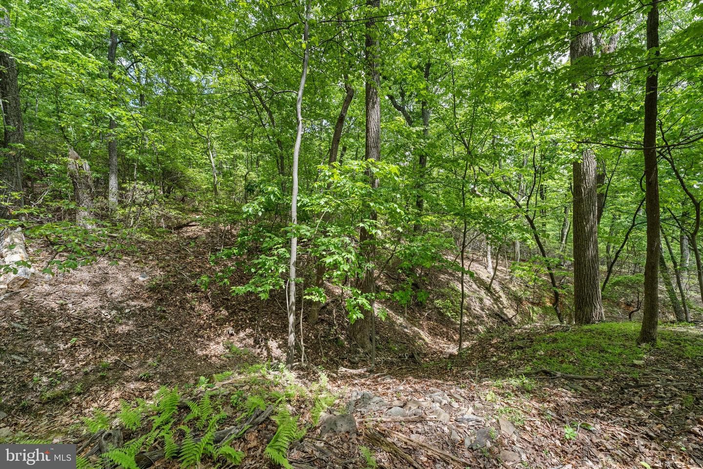 15760 Oak Ln photo 43