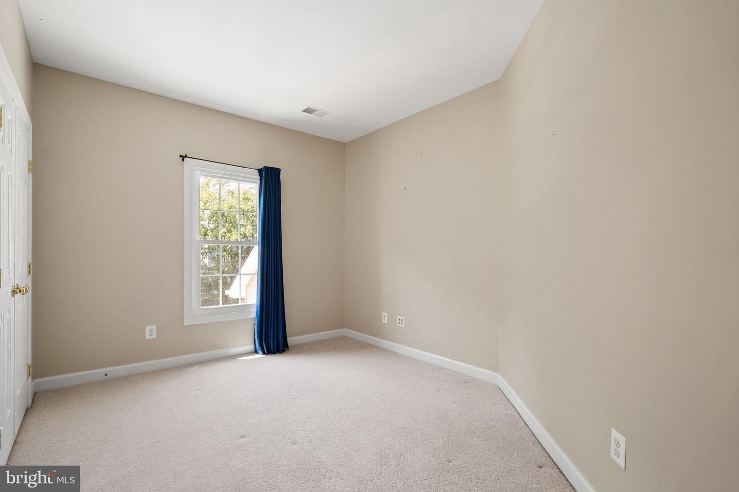 12923 Champlain Drive photo 107