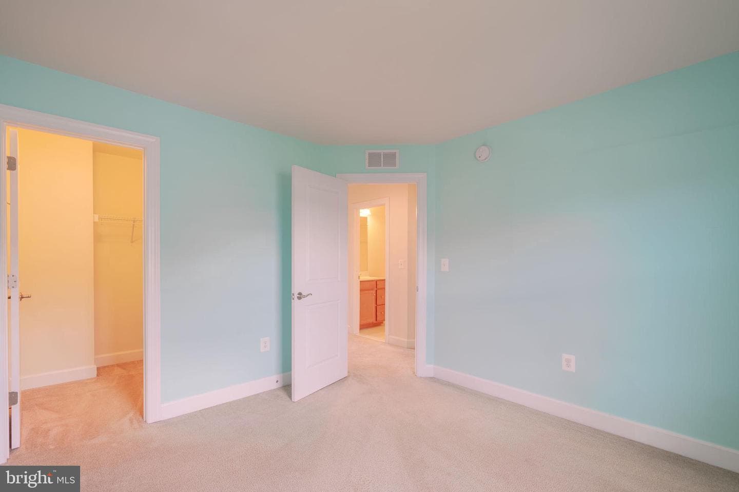 10739 Caledonia Meadow Drive photo 48