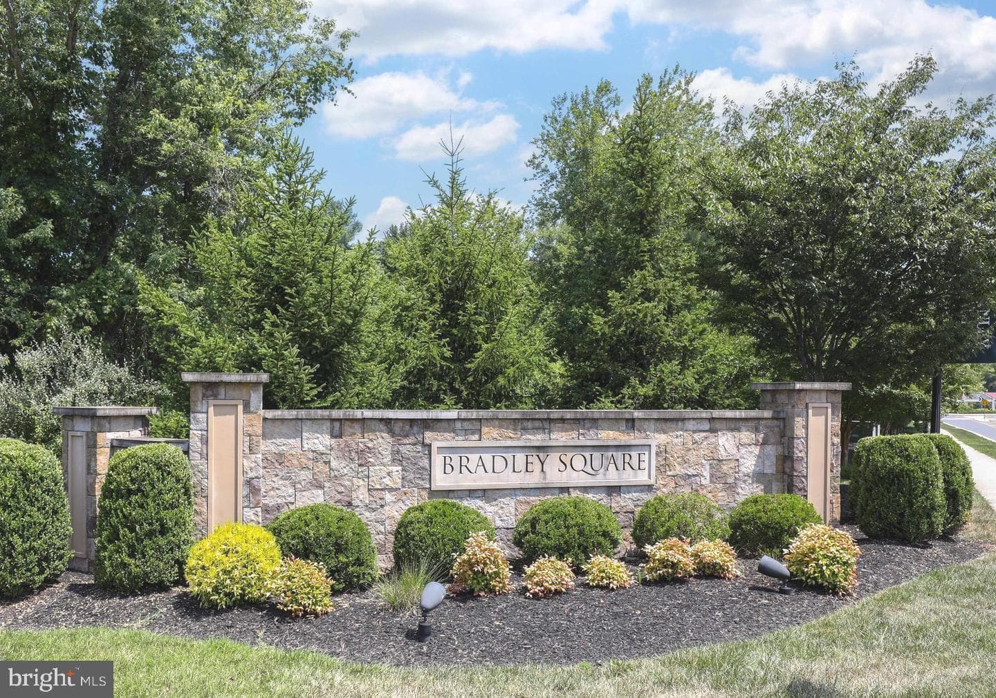 10739 Caledonia Meadow Drive photo 62