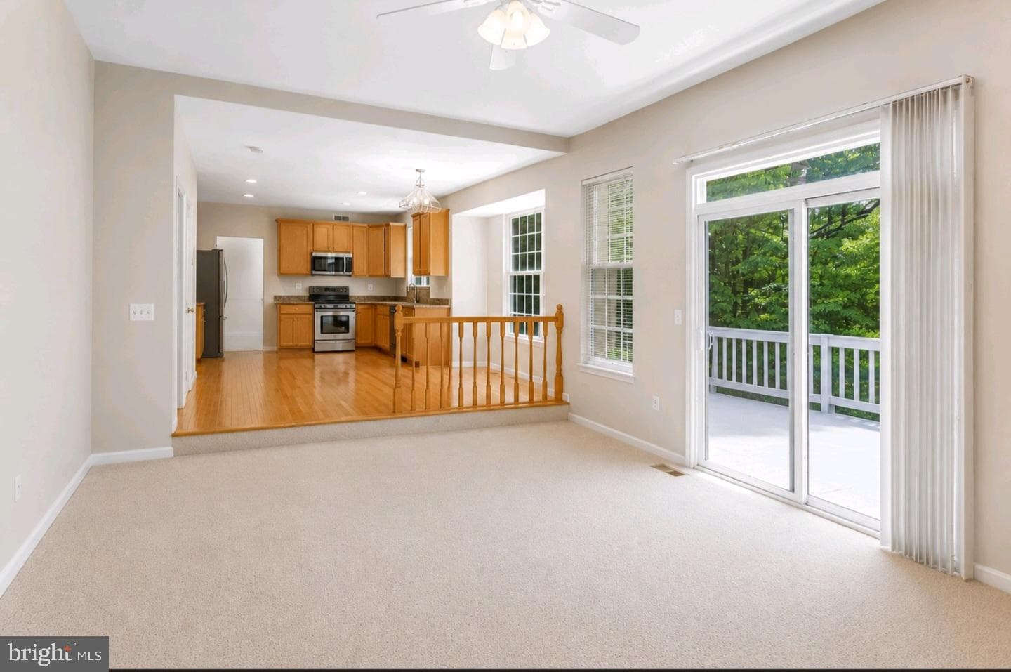 17602 Deweys Run Lane photo 19