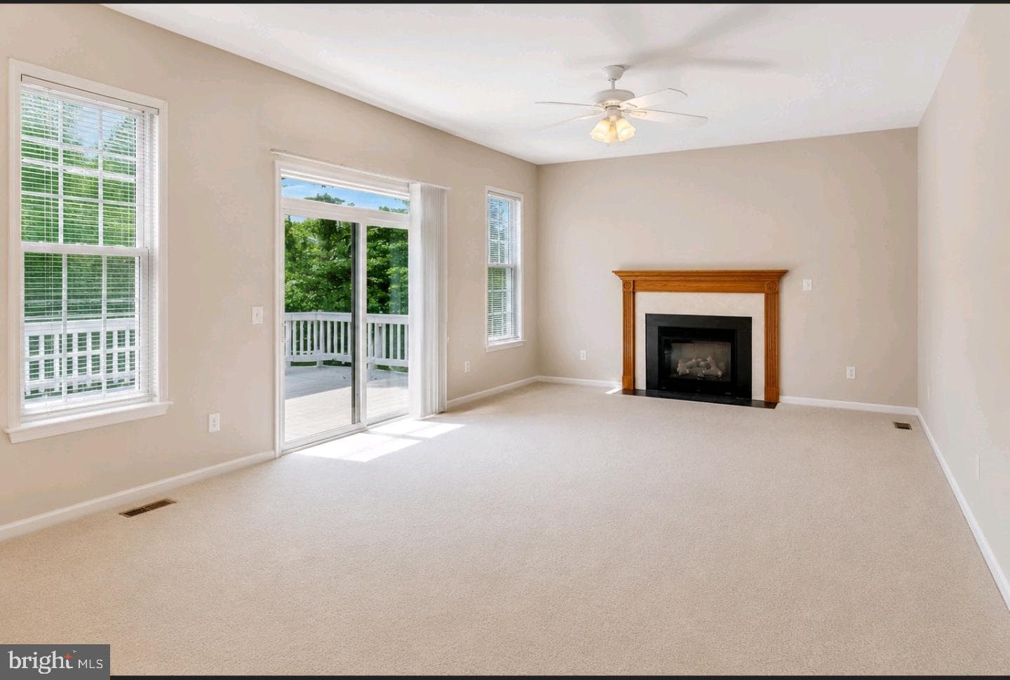 17602 Deweys Run Lane photo 23