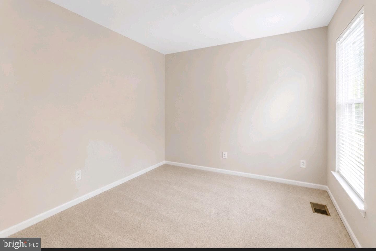 17602 Deweys Run Lane photo 25