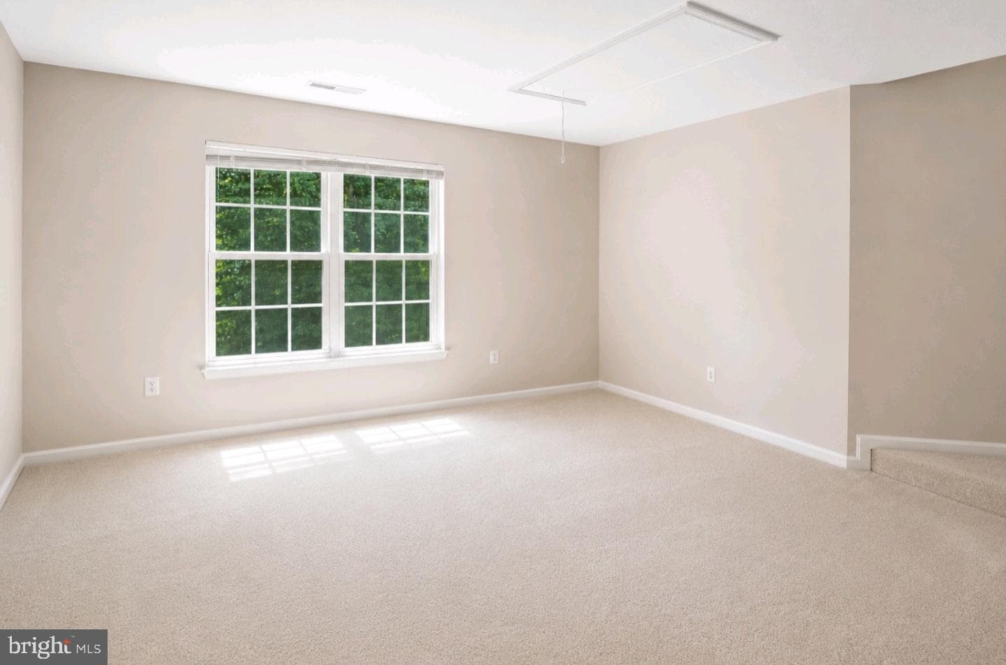 17602 Deweys Run Lane photo 31