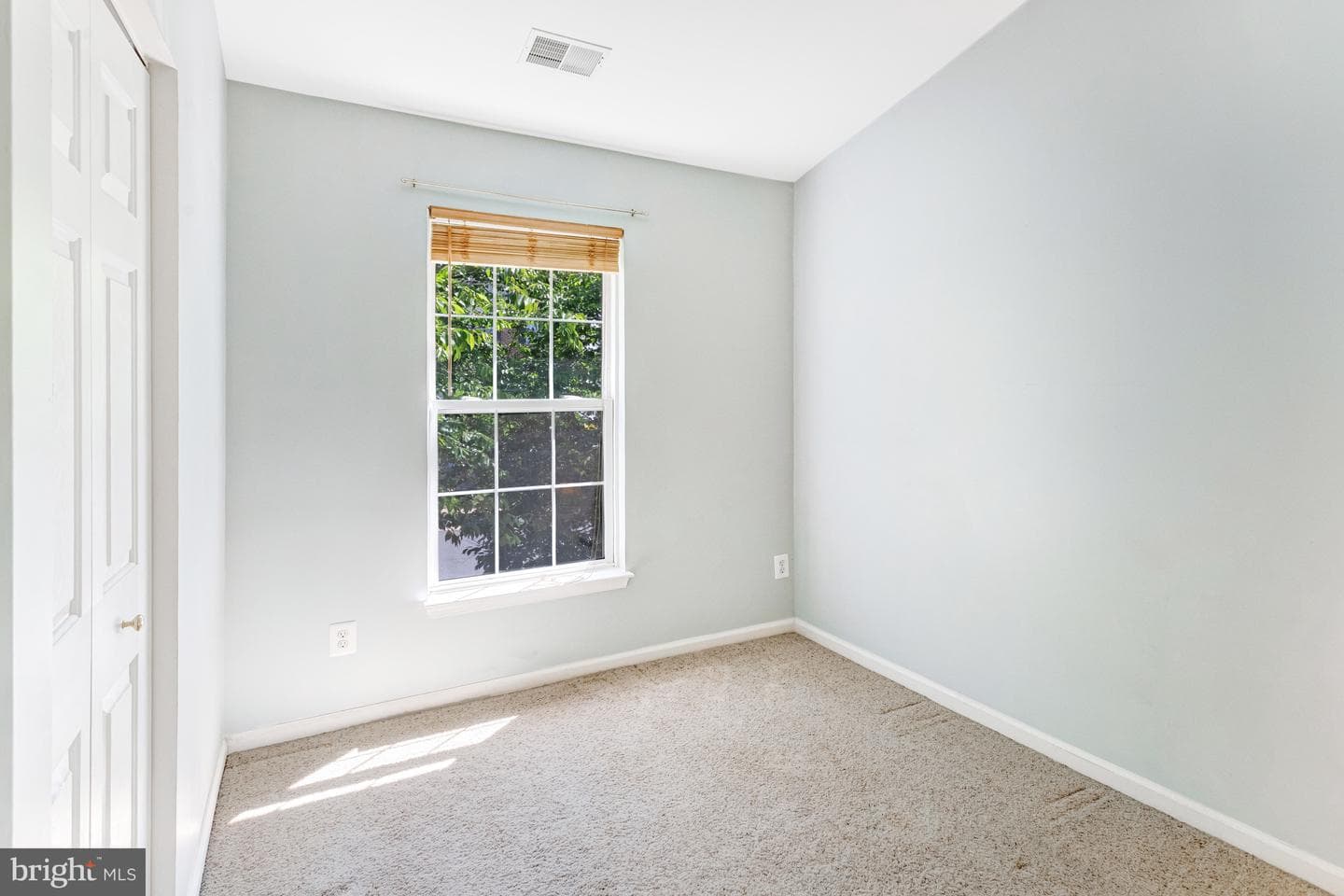 7030 Rogue Forest Lane photo 29