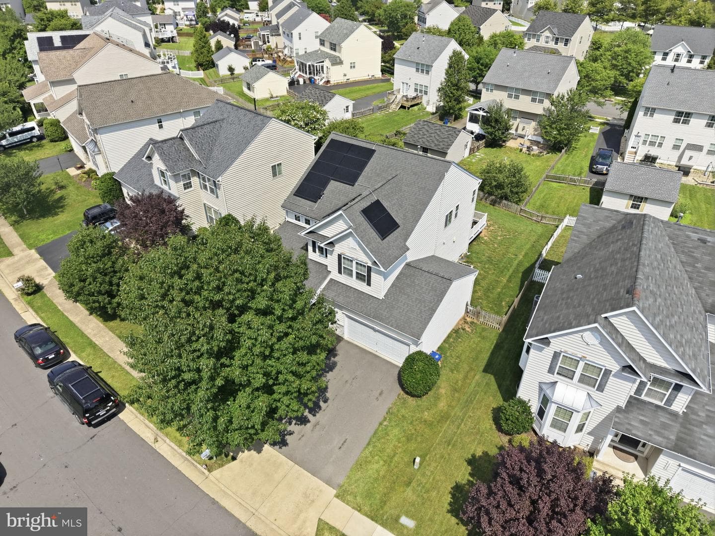 14246 Ladderbacked Drive photo 43