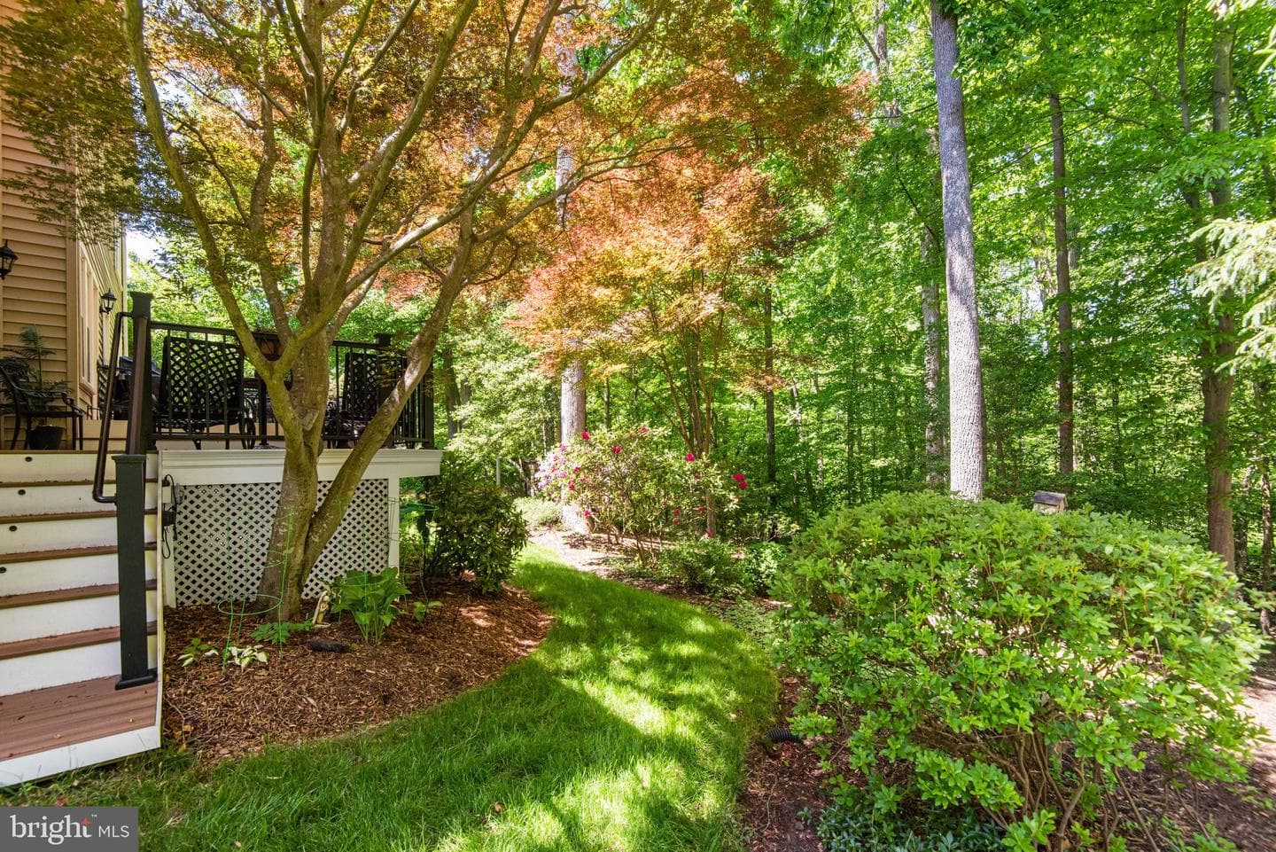 12908 Roxanna Court photo 43
