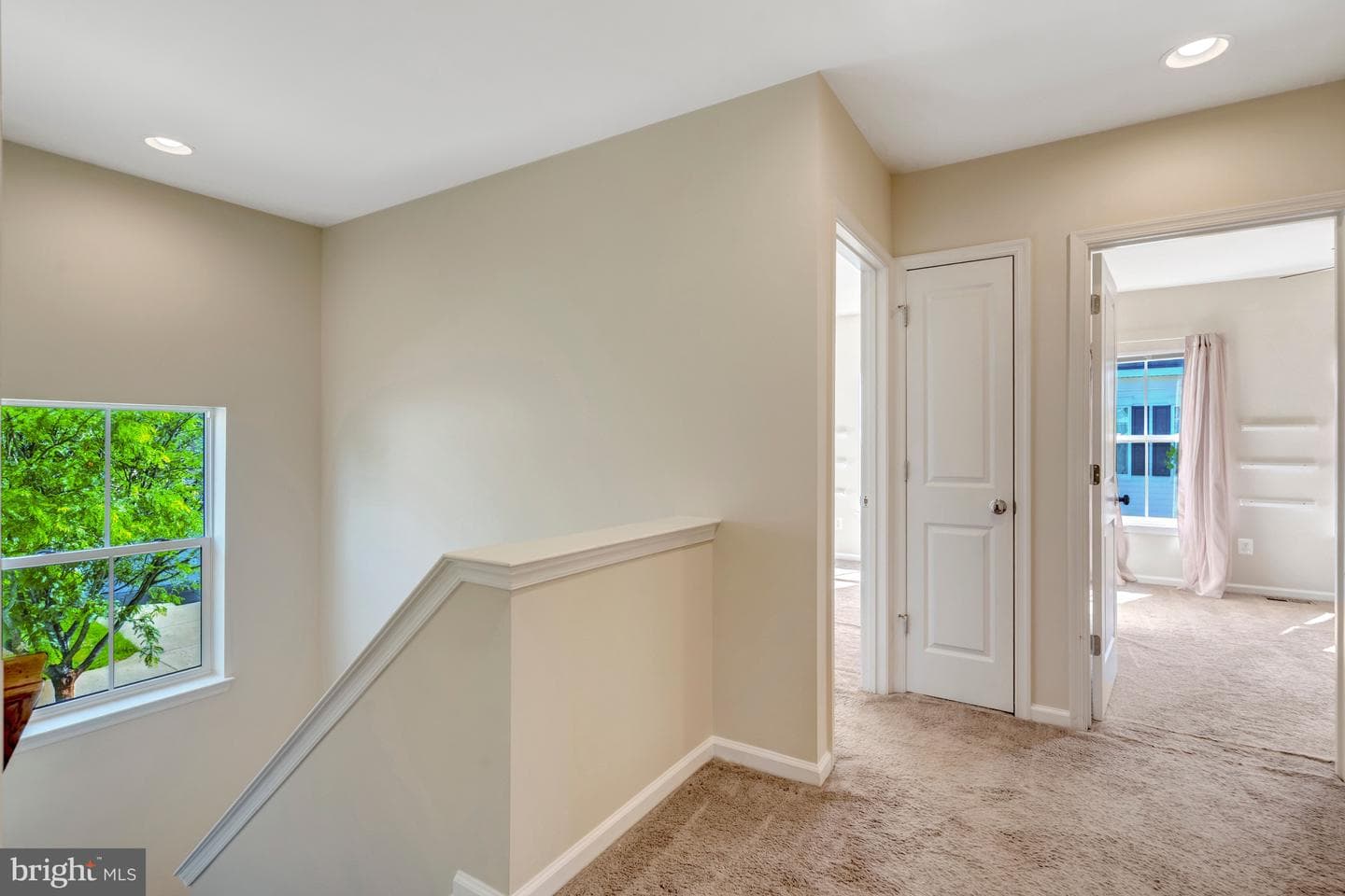 14444 Sharpshinned Drive photo 19