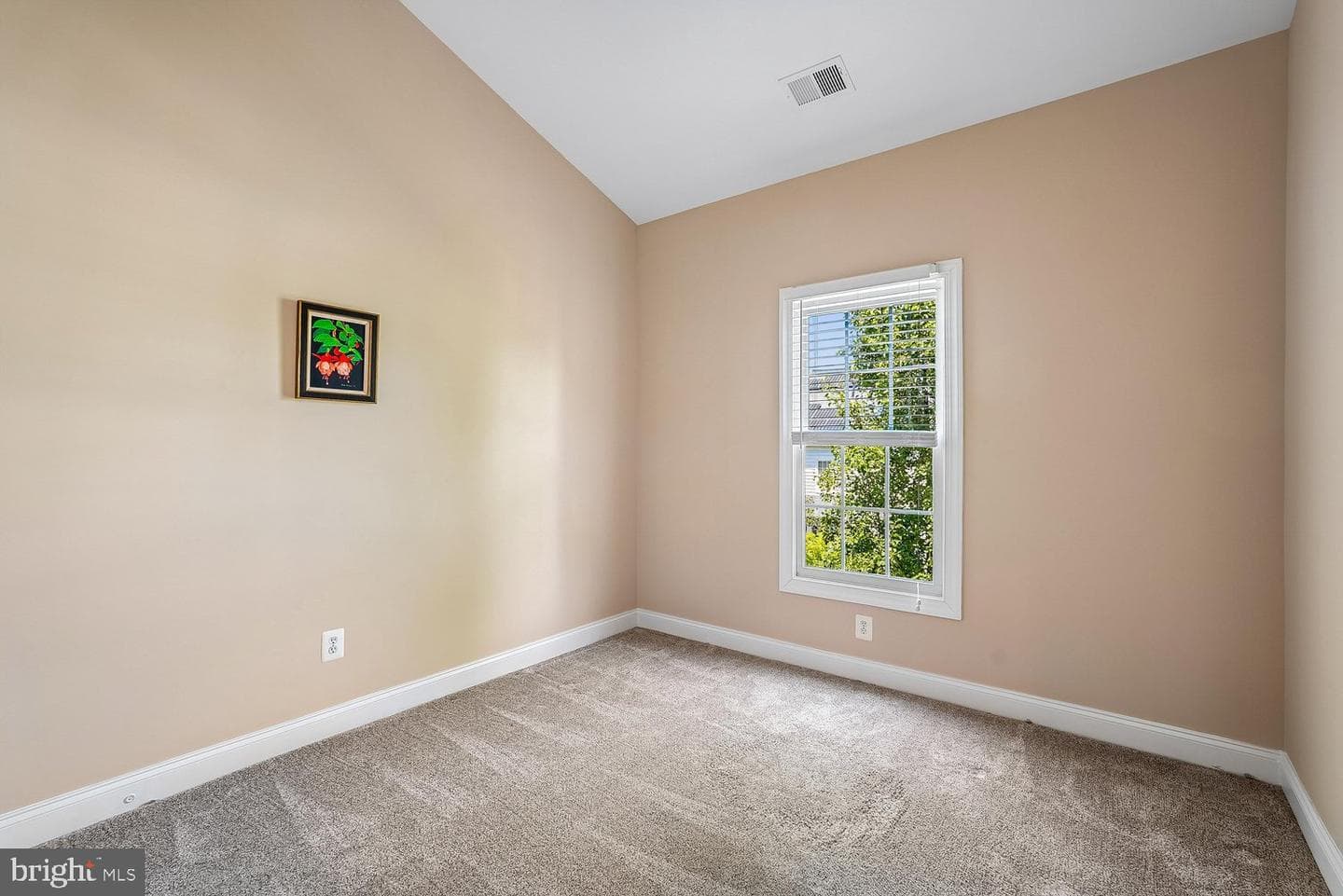 6898 Witton Circle photo 41