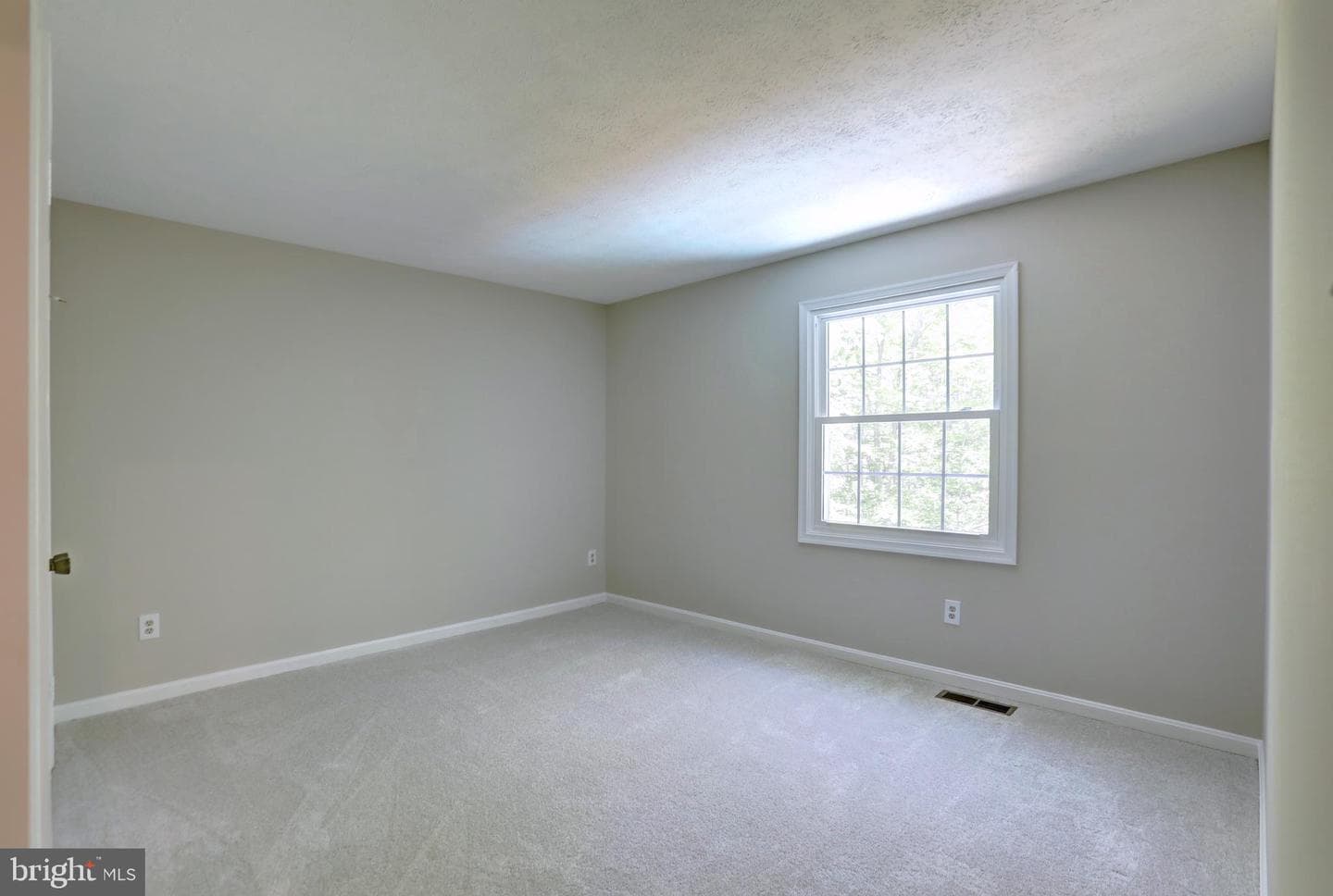 11905 Falling Creek Dr photo 28