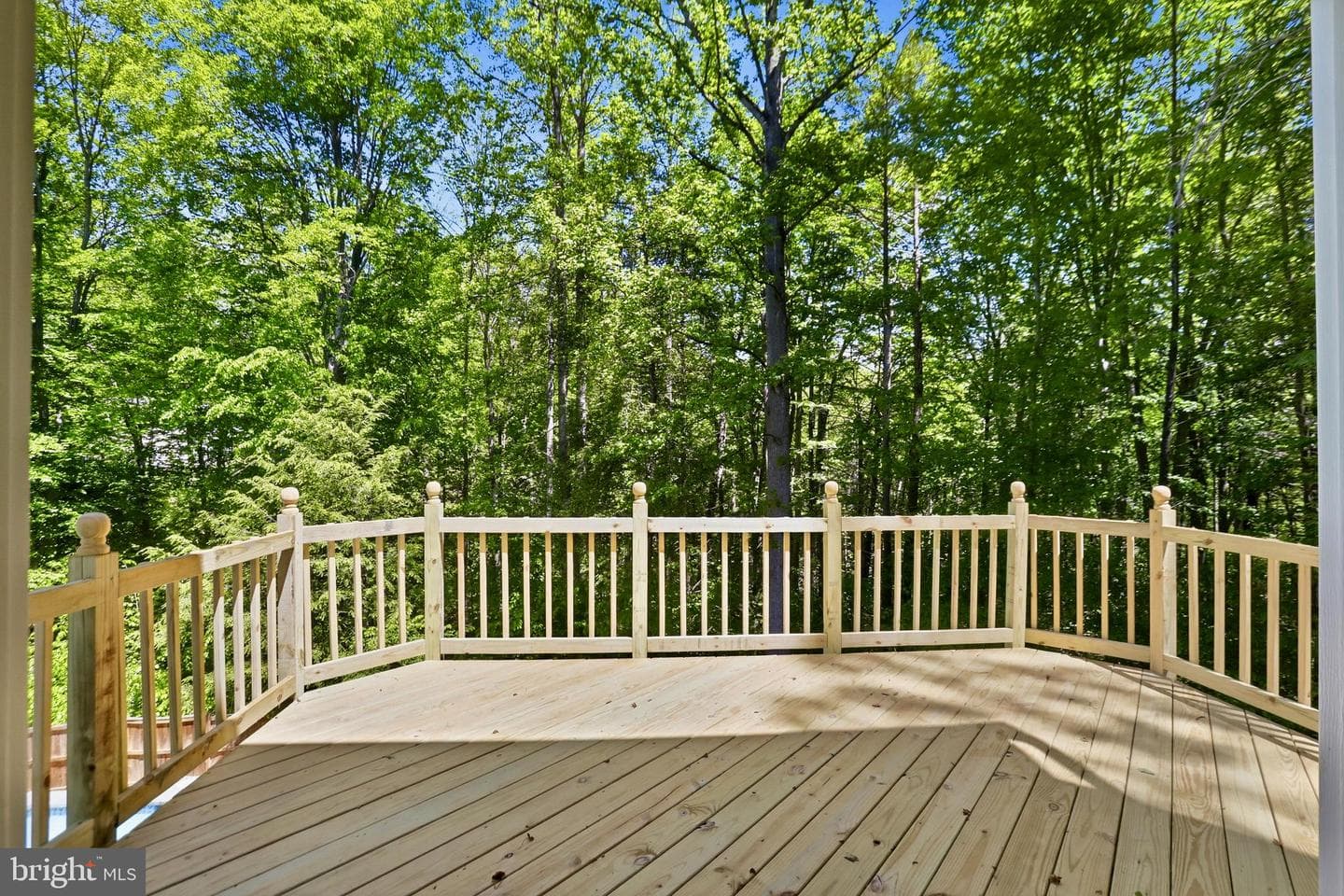 11905 Falling Creek Dr photo 44