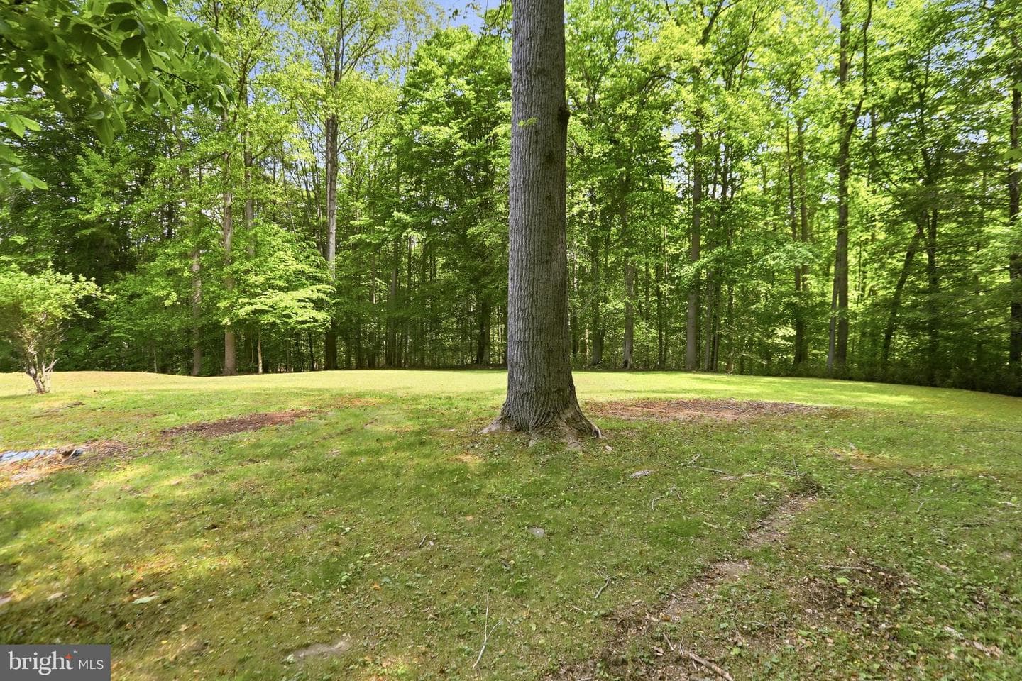 11905 Falling Creek Dr photo 47