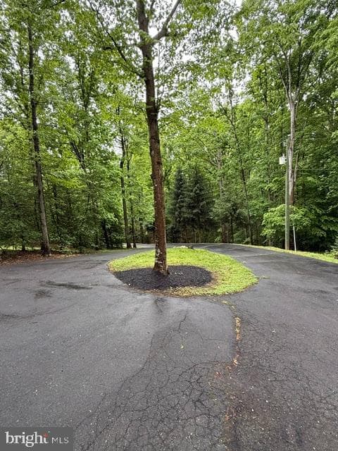 5622 Davis Ford Road photo 56