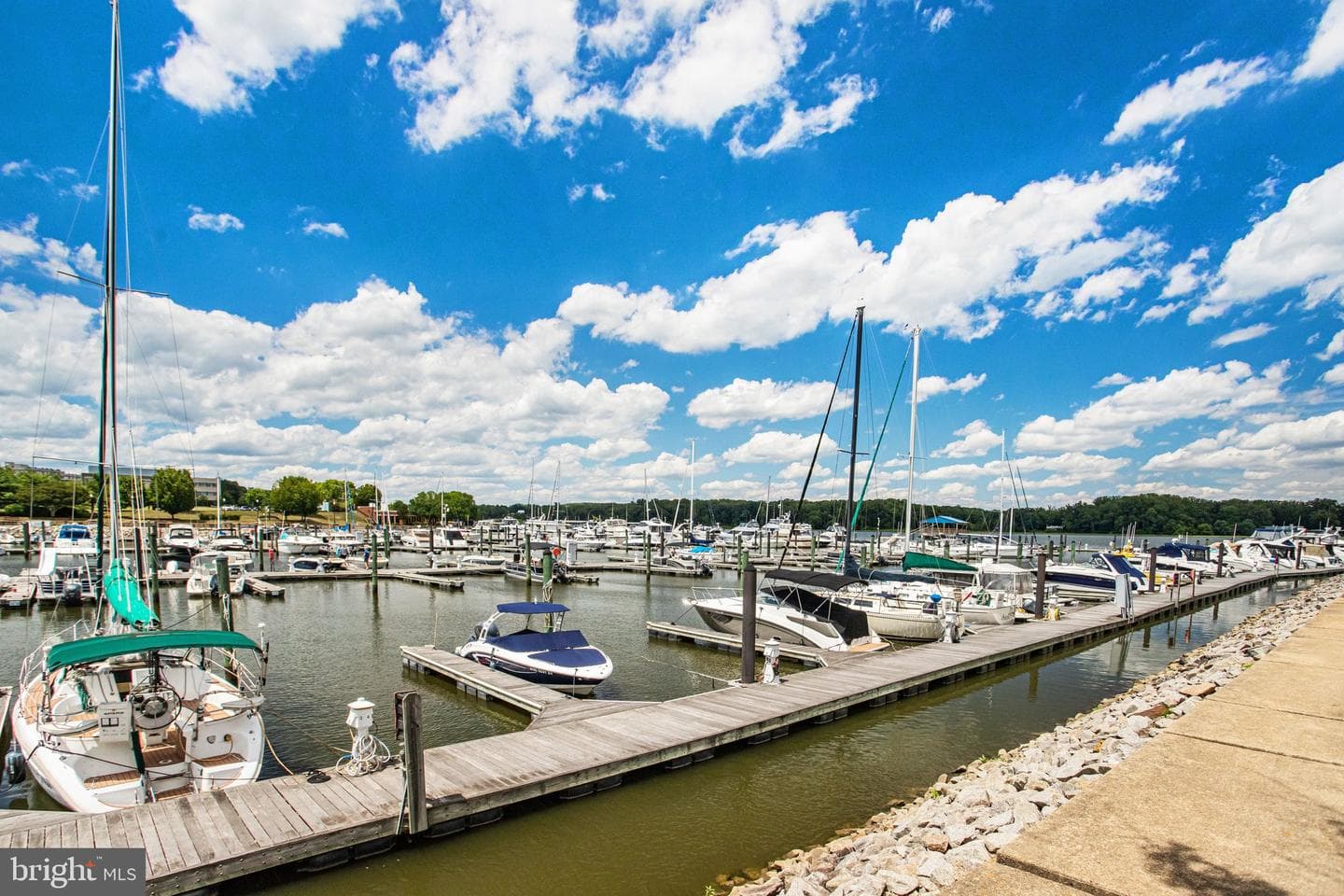 440 Belmont Bay Drive #404 photo 47