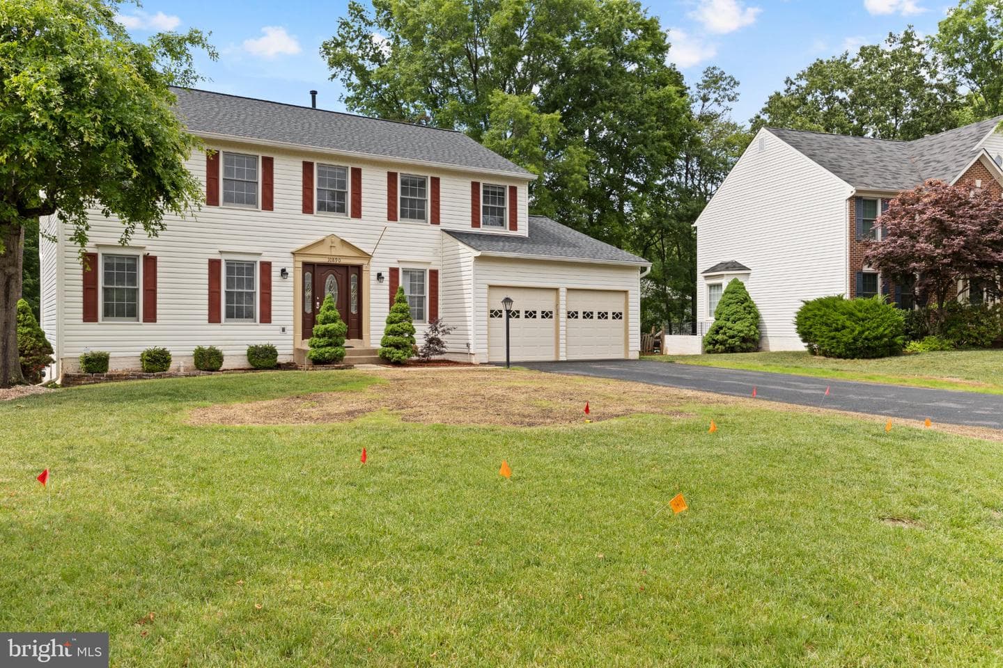 10890 Pennycress Street photo 2
