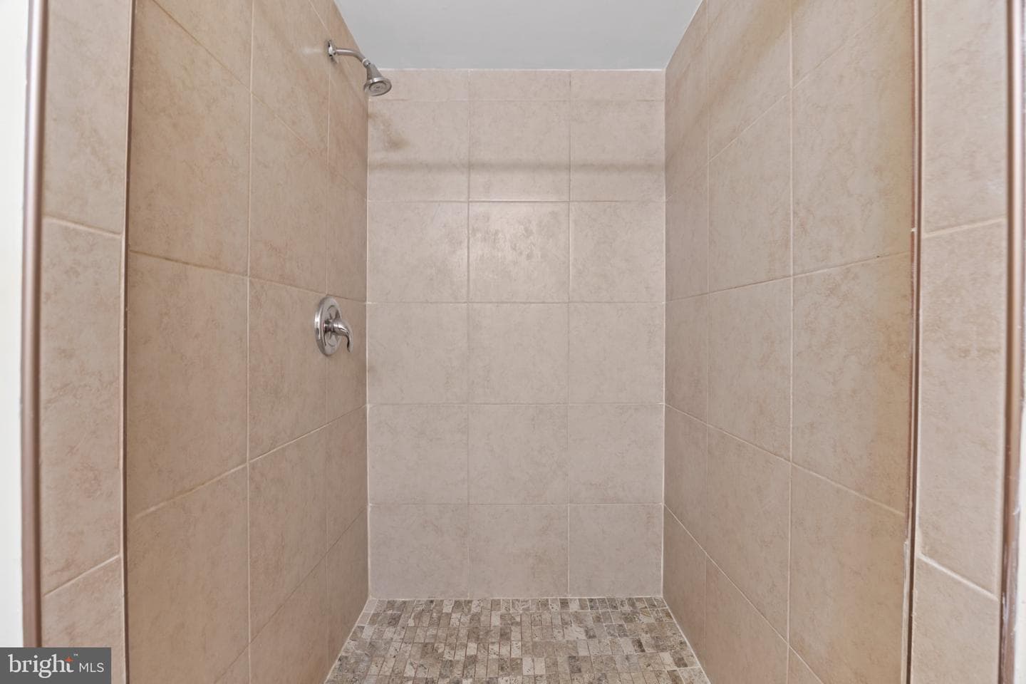 10890 Pennycress Street photo 38