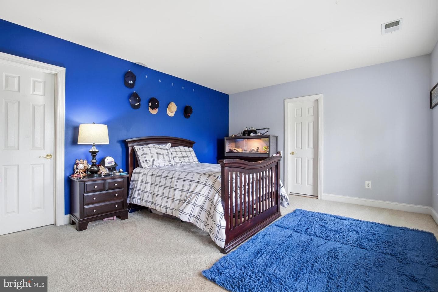 5528 Roan Chapel Drive photo 39