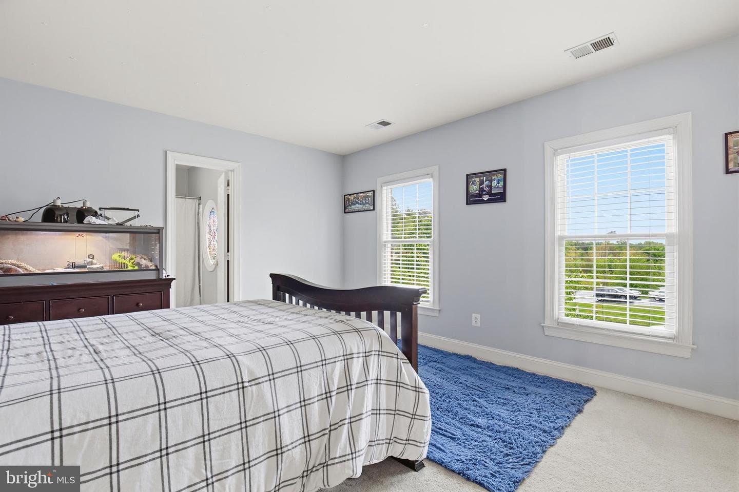 5528 Roan Chapel Drive photo 40