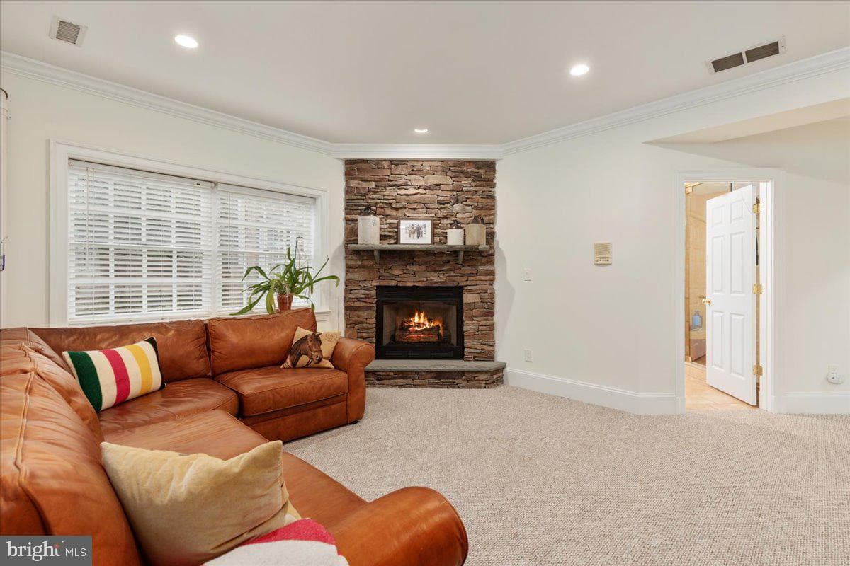 14915 Alpine Bay Loop photo 73