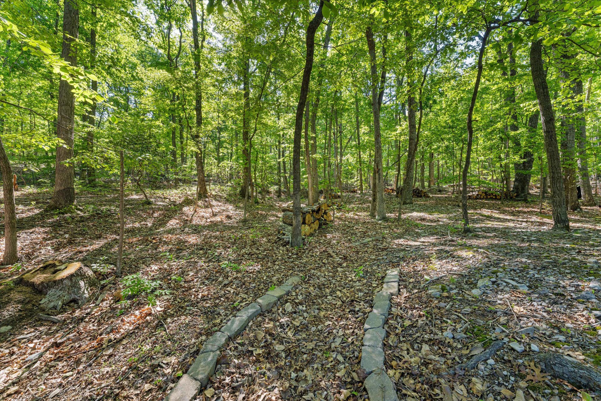 3800 Mountain Road photo 35