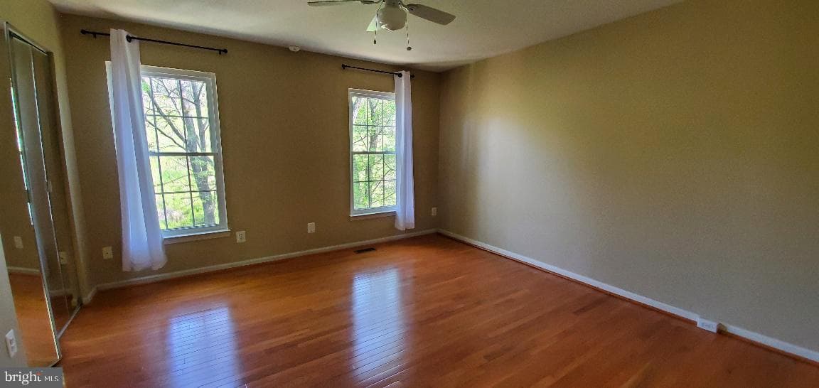 2036 Stargrass Court photo 7