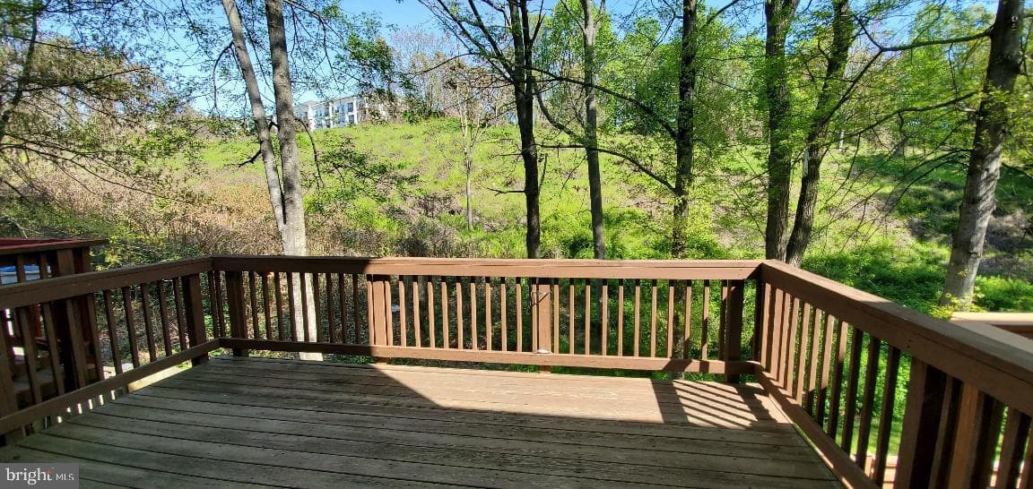 2036 Stargrass Court photo 8