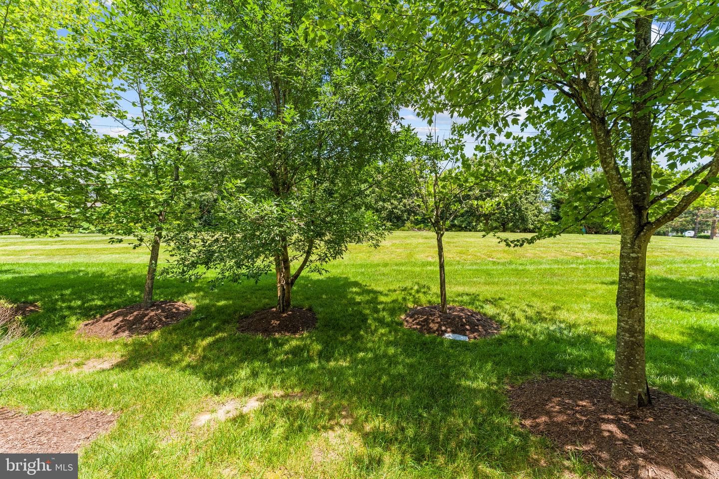11178 Wortham Crest Circle photo 32