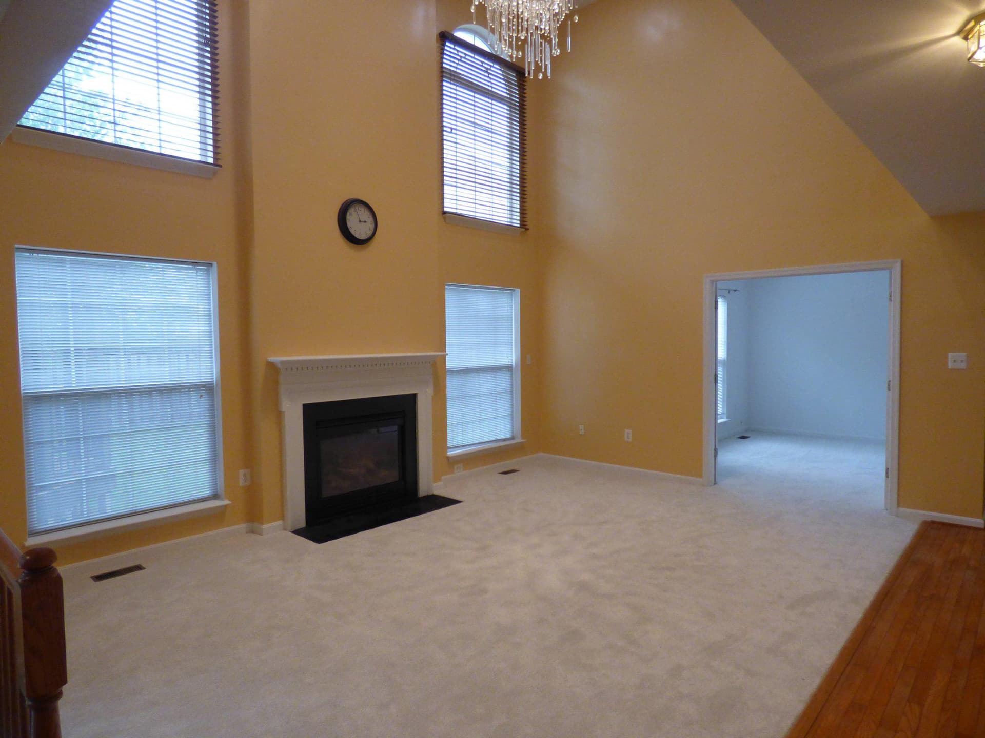 8900 Telford Court photo 4