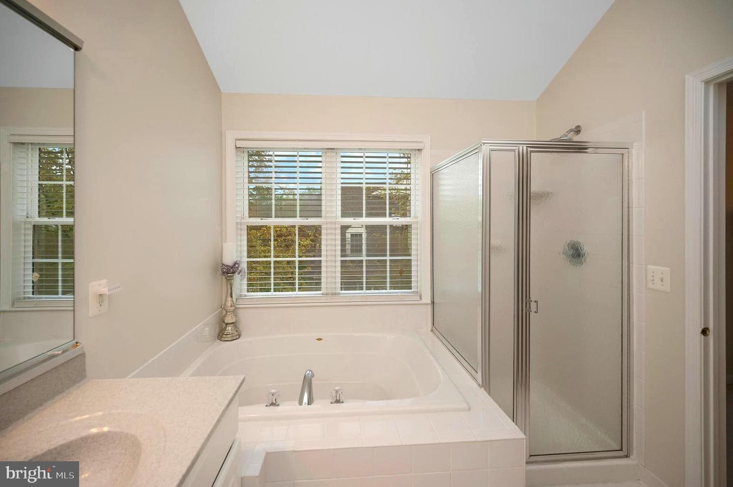 15829 Fourmile Creek Court photo 36