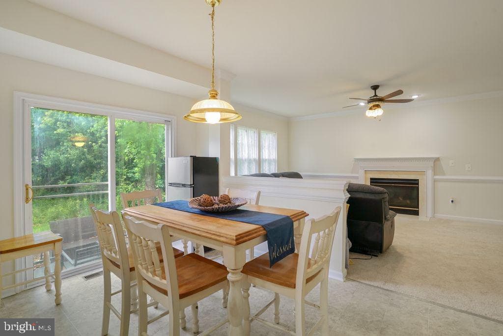 12113 Sierra Sunset Lane photo 13