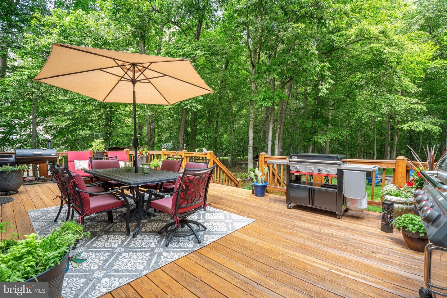 11109 Stonebrook Drive photo 39