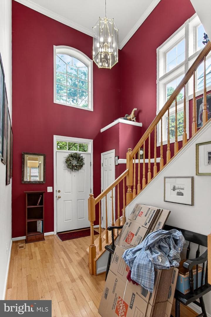 15012 Danehurst Circle photo 4