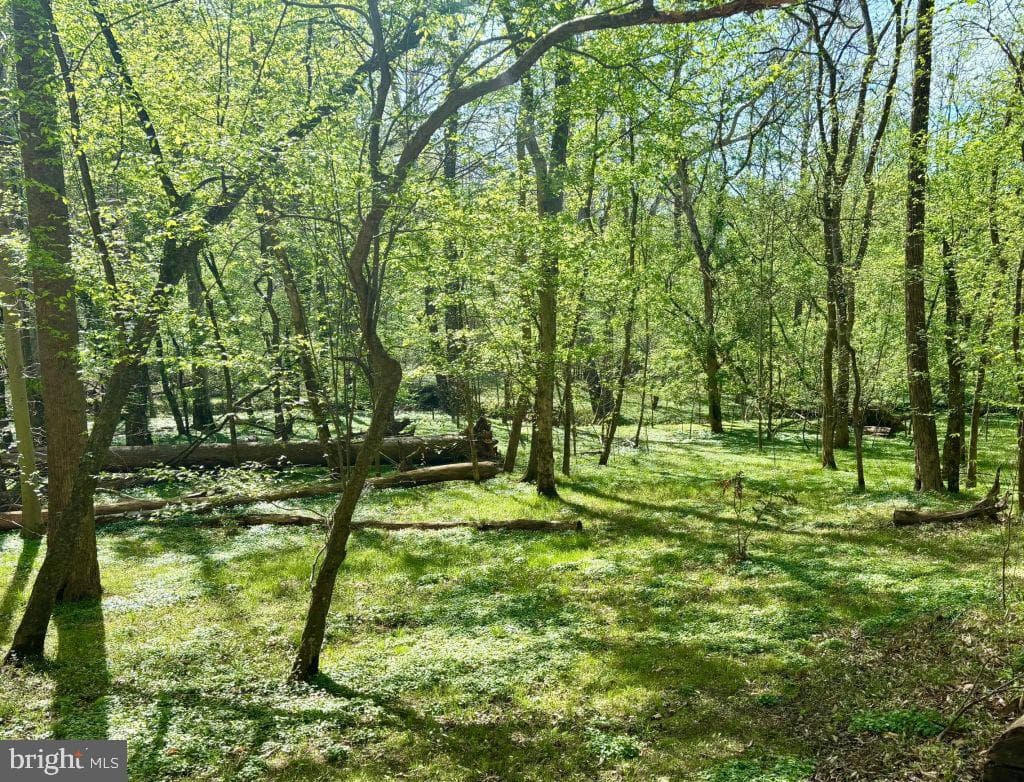 6930 Stethem Court photo 44