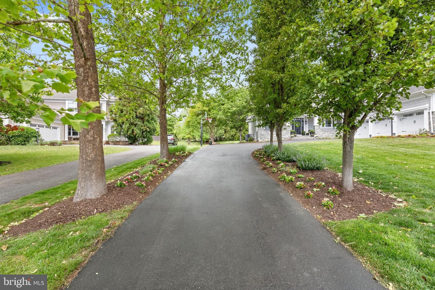 8328 Pine Knott Court photo 4