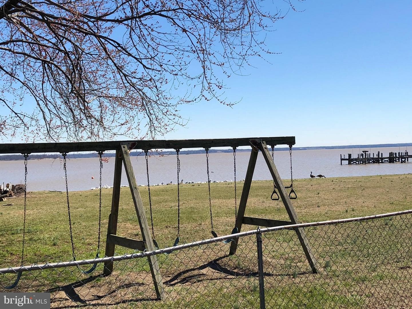 1114 Burton Street photo 17
