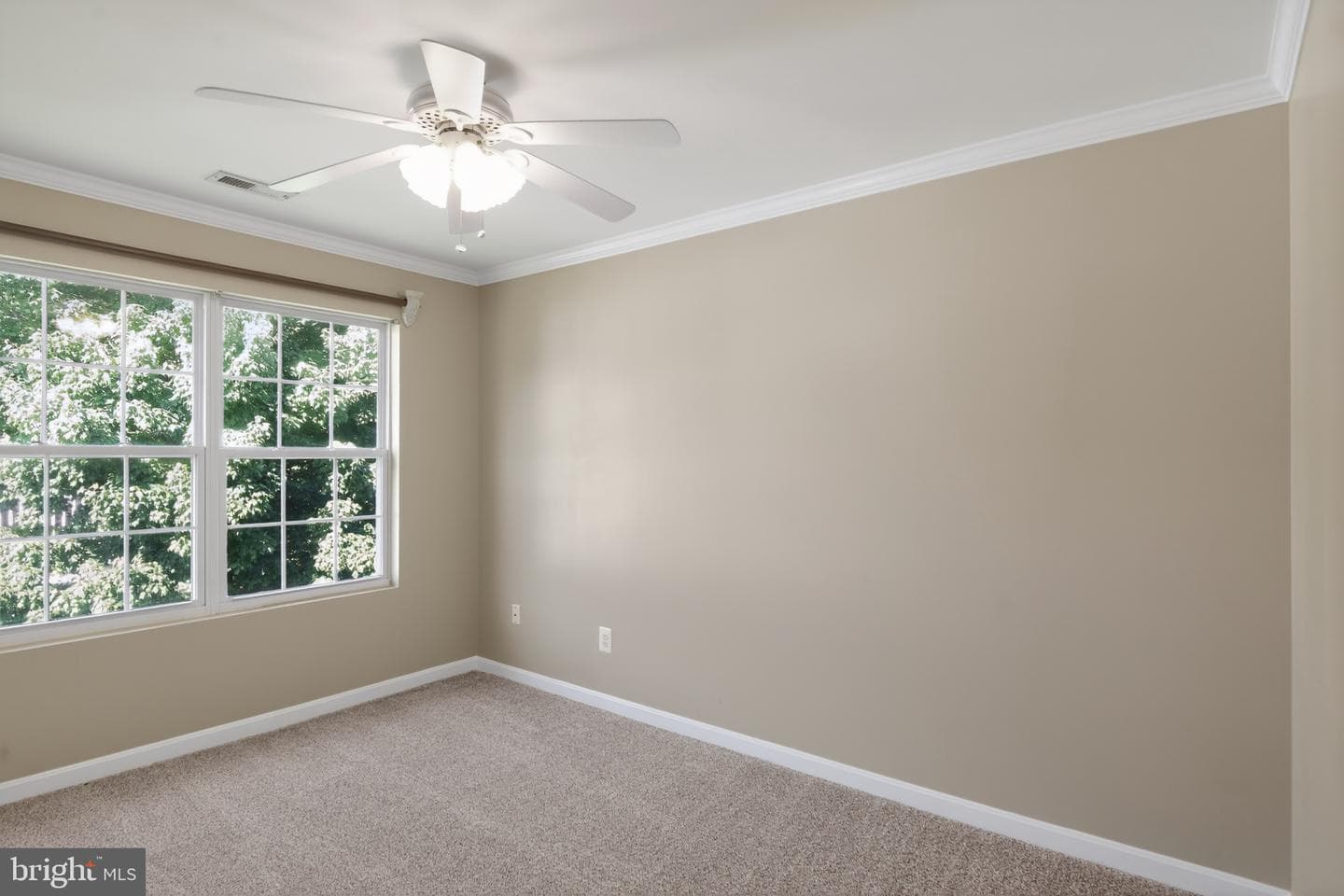 14166 Cuddy Loop photo 16