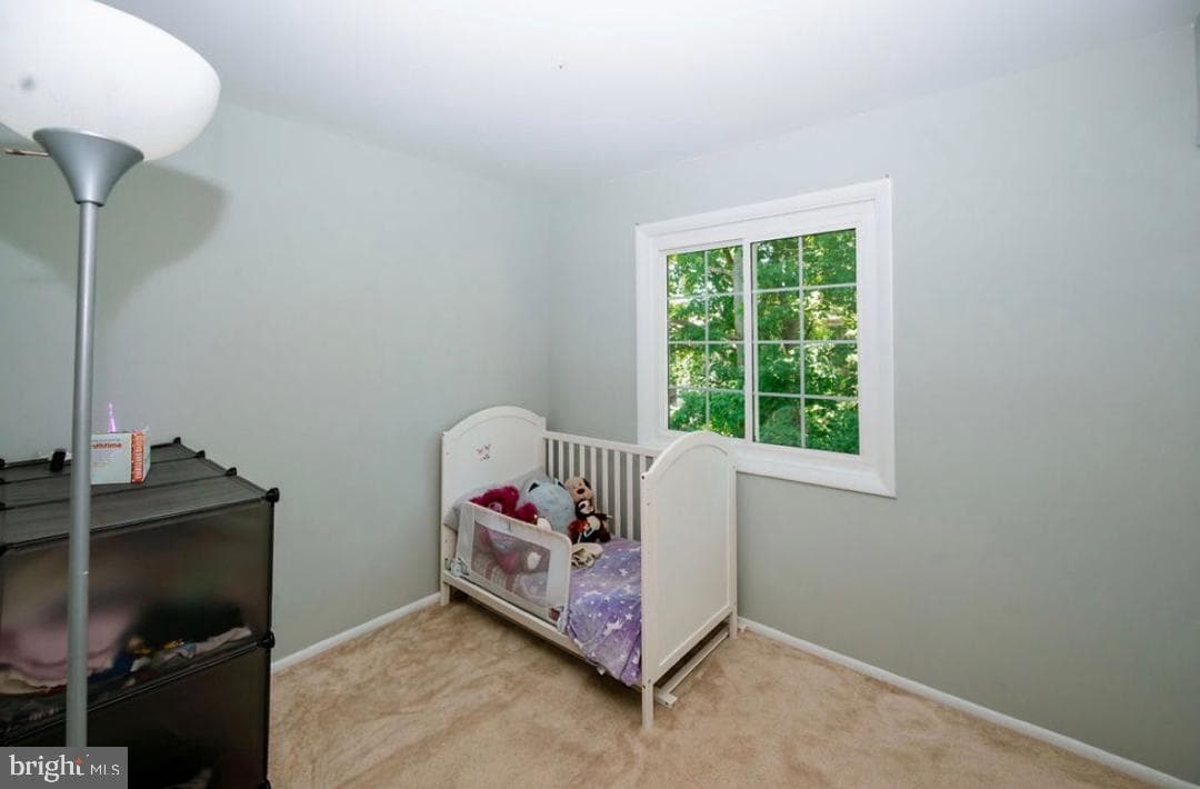 12642 Dulcinea Place photo 13