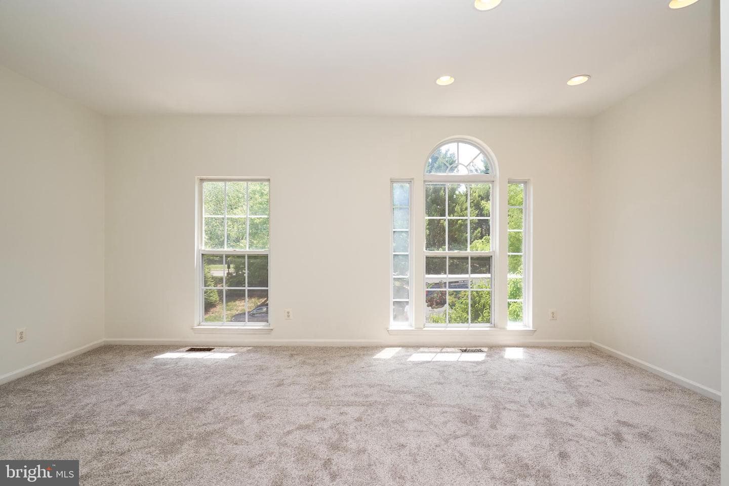10196 Pale Rose Loop photo 14